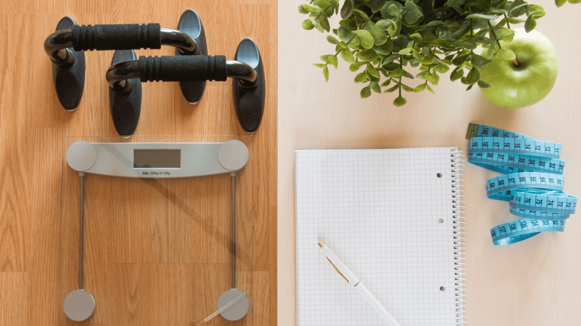 Canva Design DAGB2ZSh_8Y